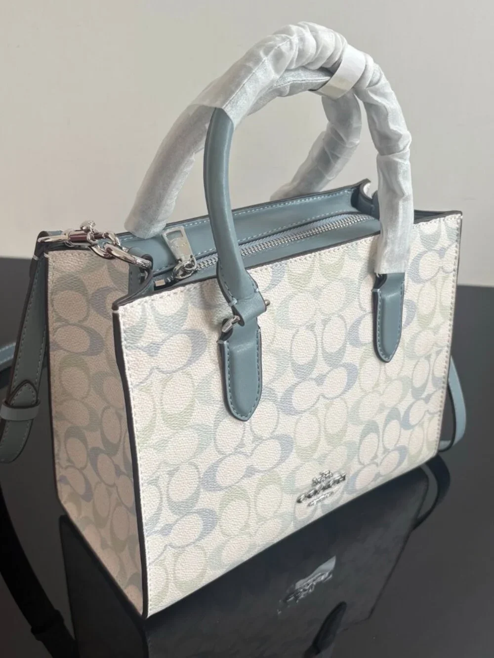 ✨Coach Signature Blue Green Canvas Satchel Handbag